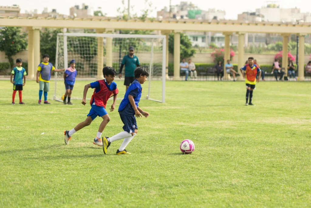 Sports Training & Management: